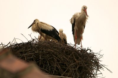 Le temps passe_4726891696_l.jpg